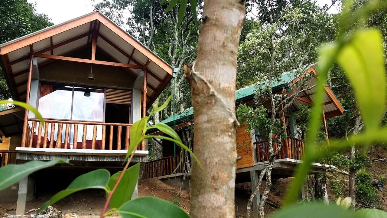 Saffron Eco Cottage Ella Exterior photo